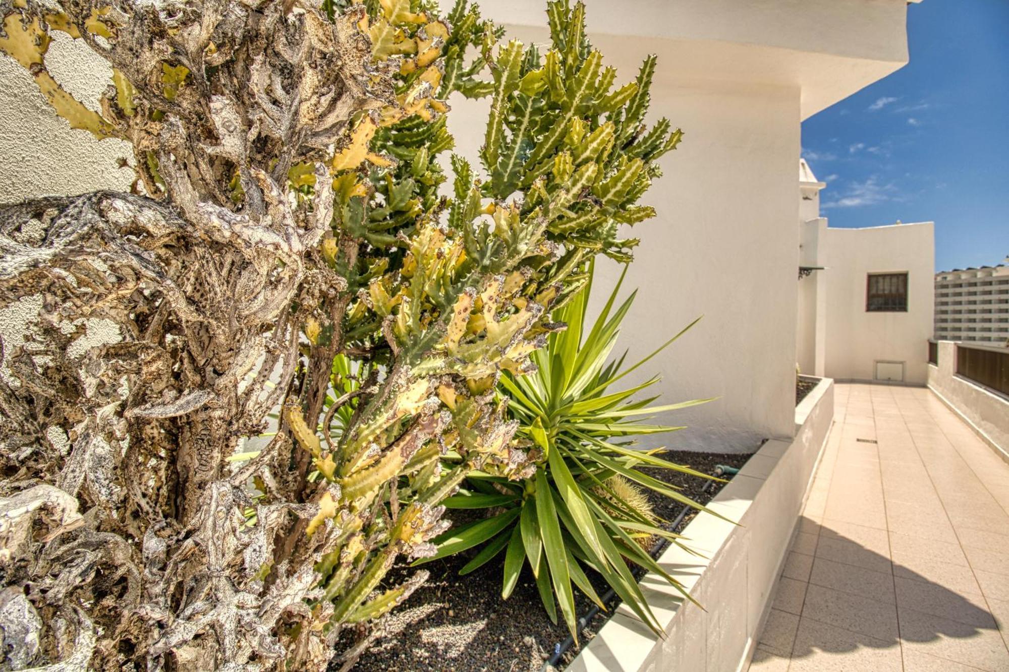 Апартаменты Penthouse Sea View Jacuzzy Terrace & Pool Плайя-Фаньябе Экстерьер фото